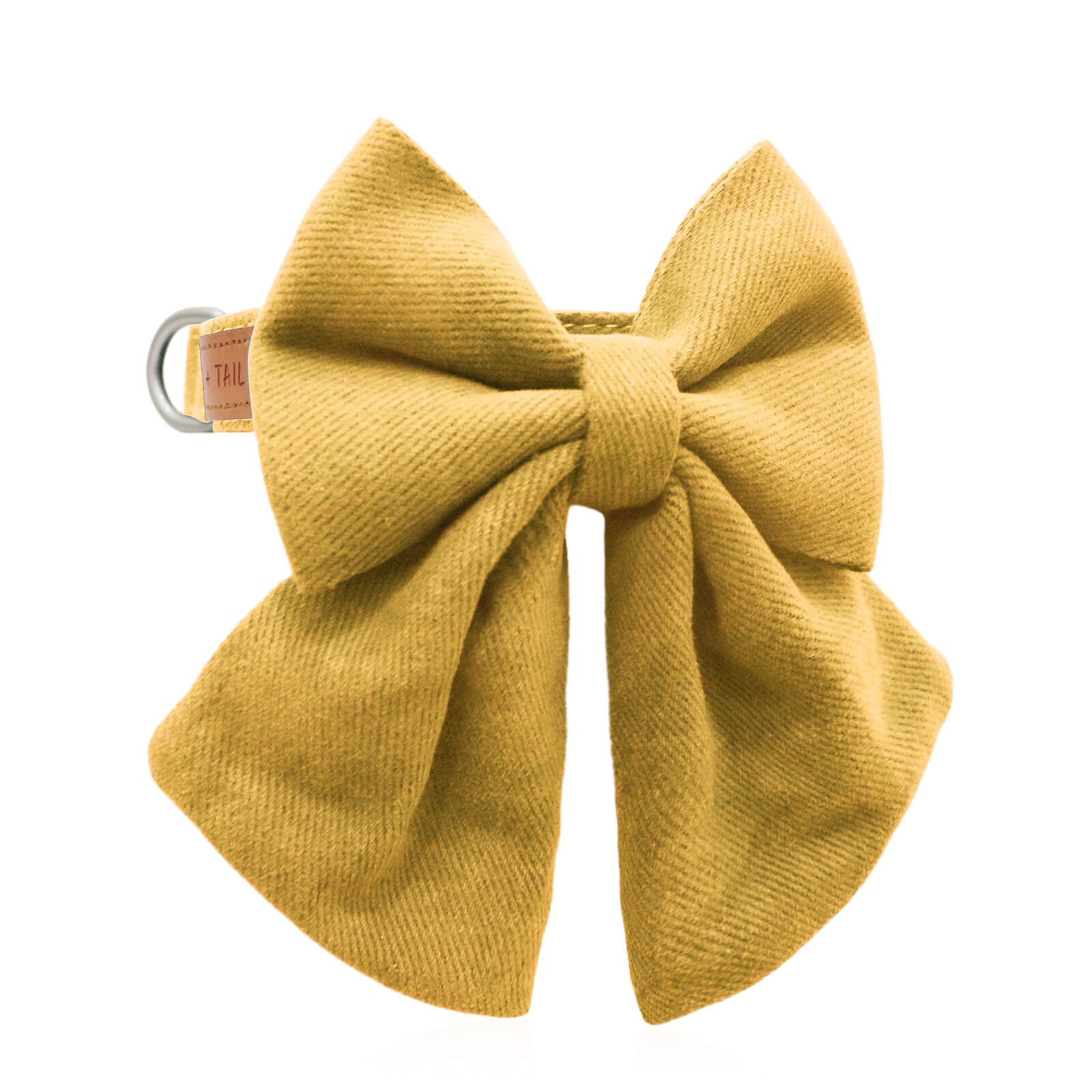 Dog wearing Desert Paws Luxe Bow Tie Collar showing warm neutral collar and bow from side
