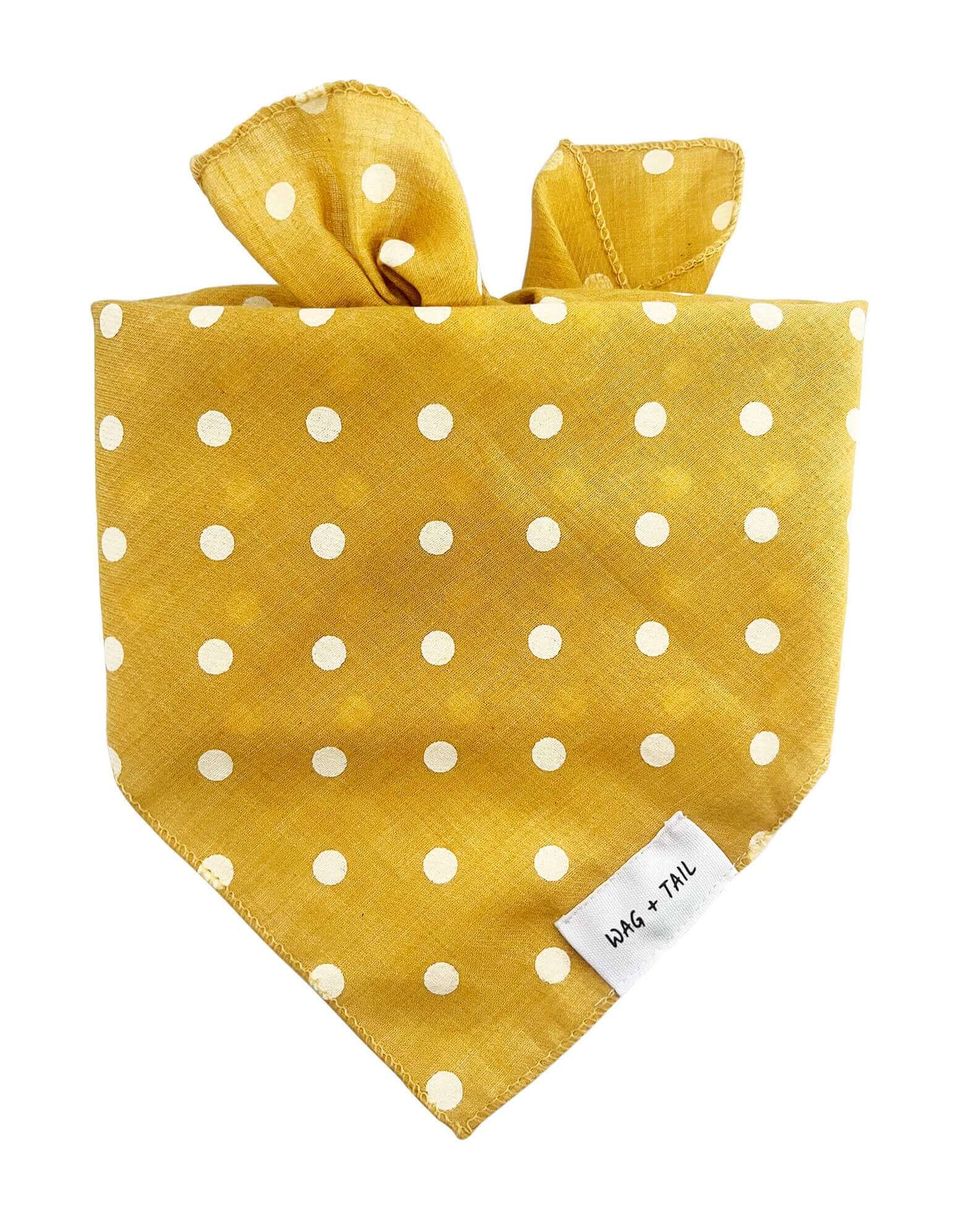 Sunshine Spot dog scarf lifestyle shot showing yellow print scarf tied on dog