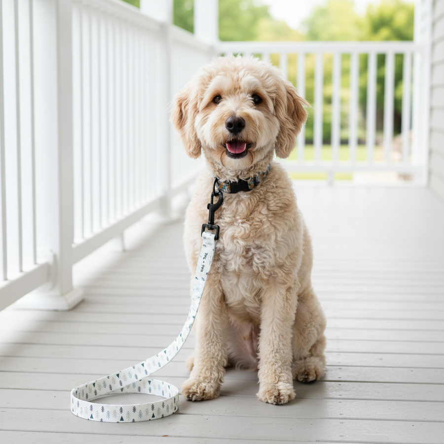 Dog walking accessories and essentials