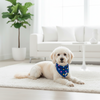 Reversible Tie-On Dog Bandanas