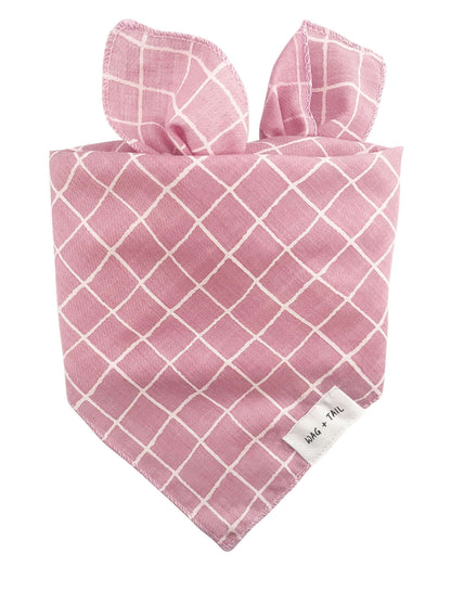Dog Scarves