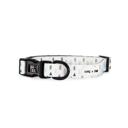 Frosted Pines dog collar lifestyle shot showing collar on dog showing fit and scale