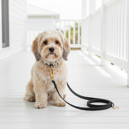 Midnight black Waterproof PVC dog leash flat lay showing dark tone and metal clip hardware
