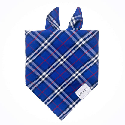 Navy Plaid dog bandana lifestyle shot showing classic navy plaid bandana on dog