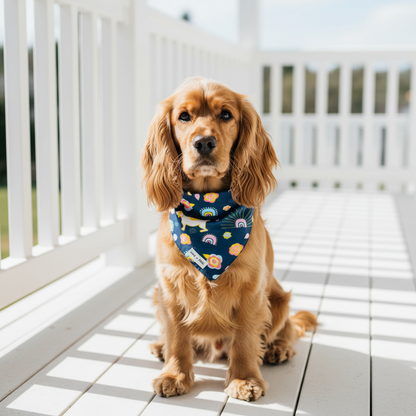 Reversible Tie-On Dog Bandanas