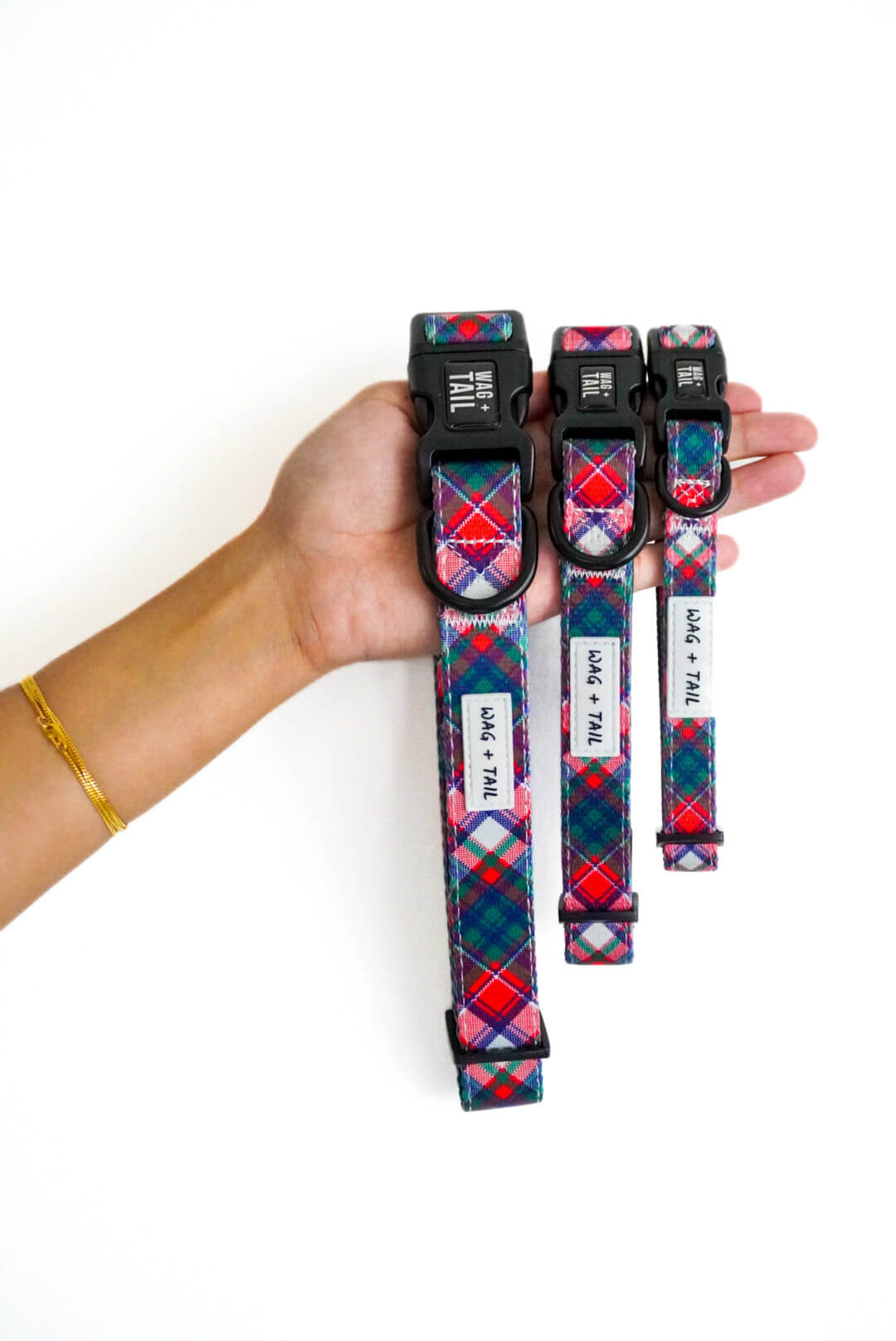 Pawsitively Festive dog collar lifestyle shot showing festive collar on dog