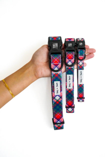 Pawsitively Festive dog collar lifestyle shot showing festive collar on dog