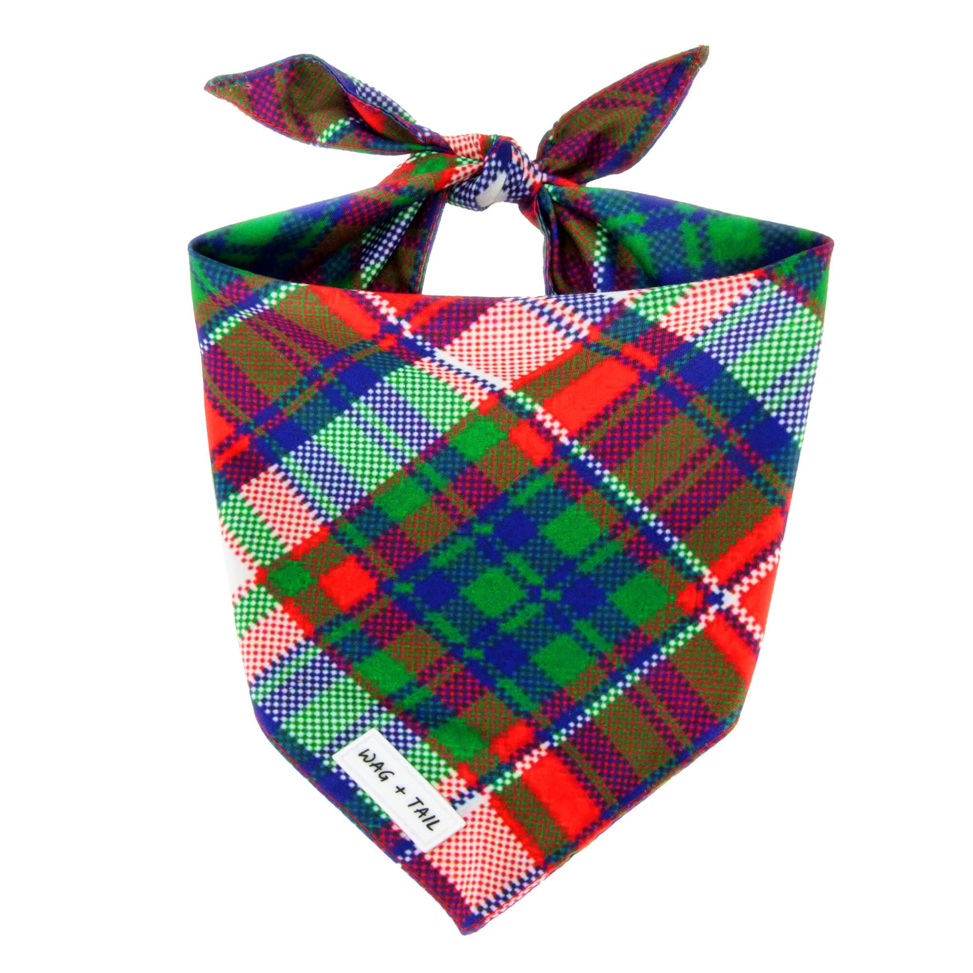 Holiday in the Sun dog bandana lifestyle shot showing bright print reversible bandana on dog