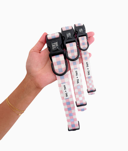 Pink Plaid dog collar lifestyle shot showing collar on dog showing pink plaid in use