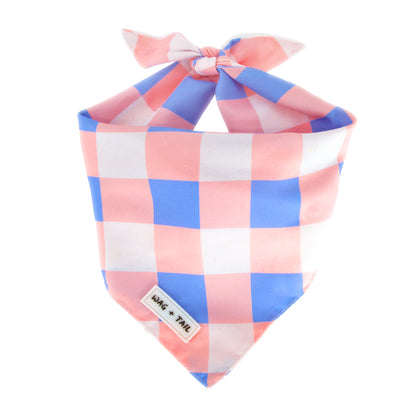Reversible Tie-On Dog Bandanas