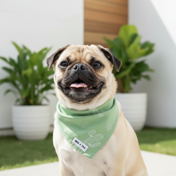 Reversible Tie-On Dog Bandanas
