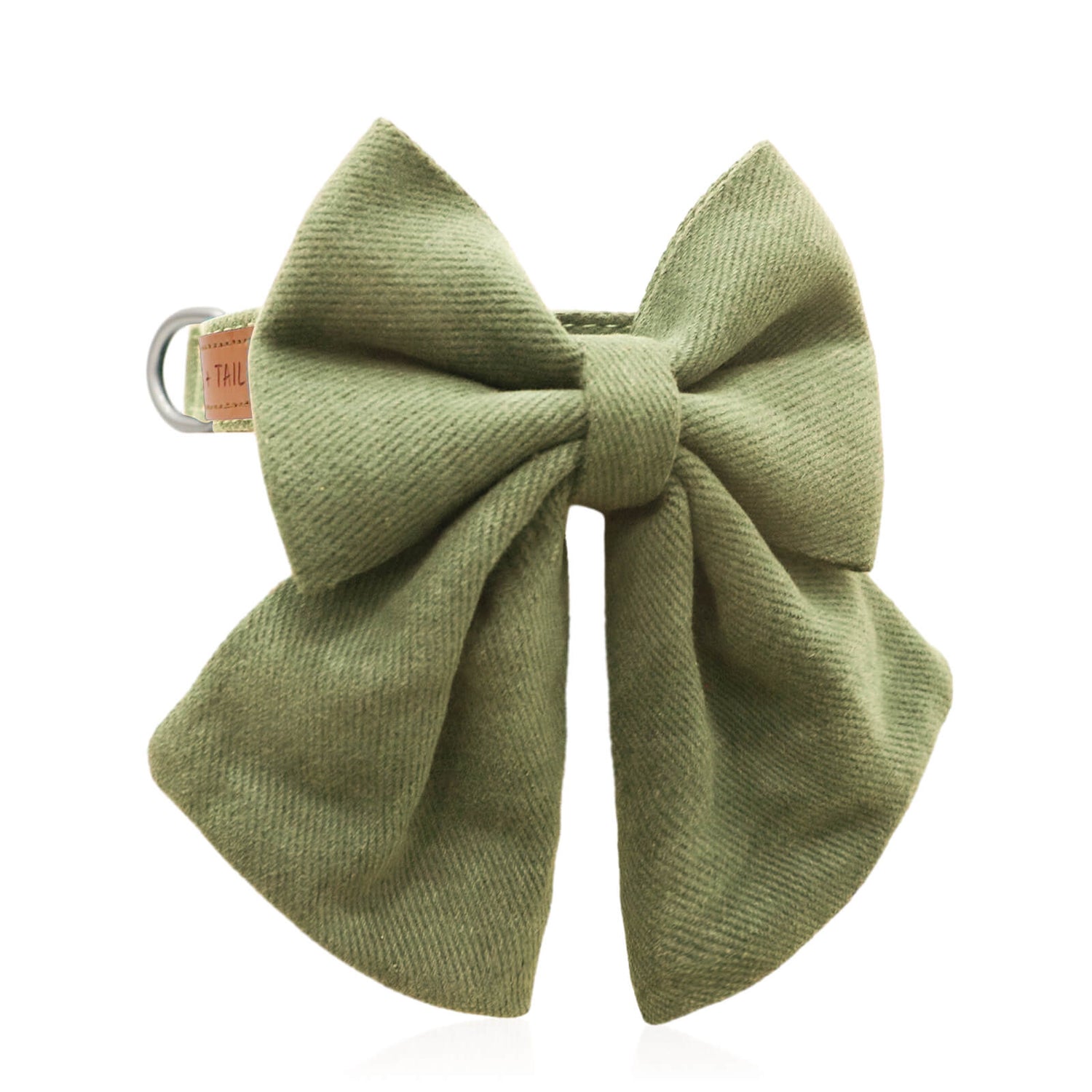 Dog wearing Sage Luxe Bow Tie Collar showing front bow and collar fit from front angle