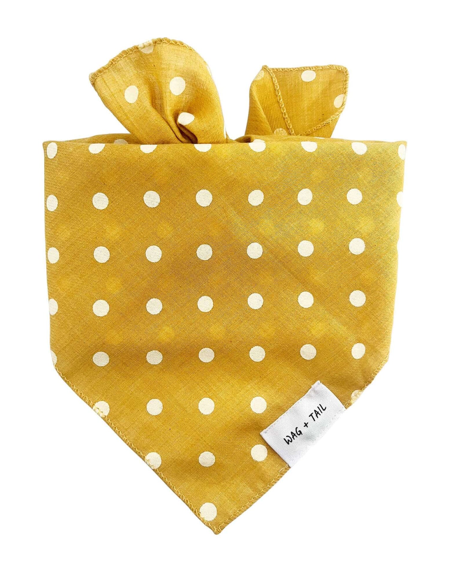 Sunshine Spot dog scarf lifestyle shot showing yellow print scarf tied on dog