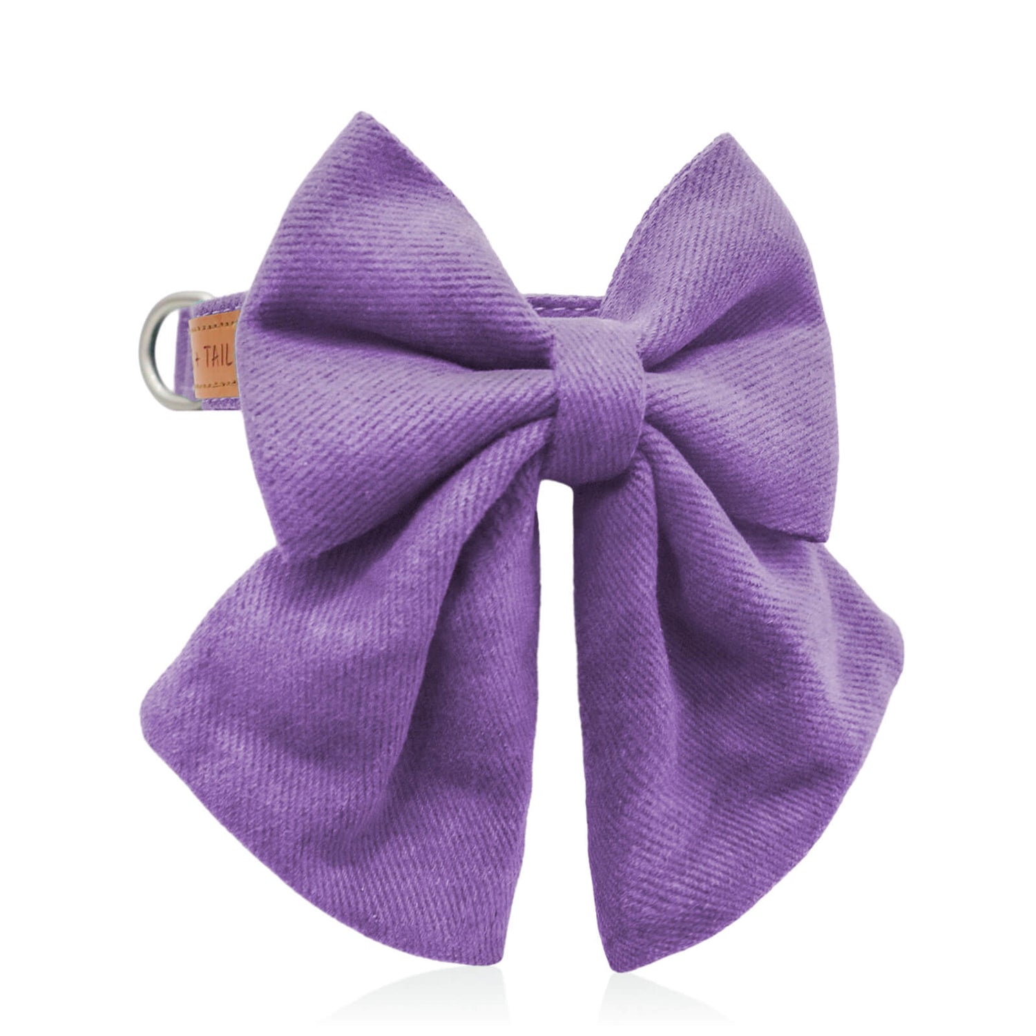 Dog wearing Sweet Lavender Luxe Bow Tie Collar showing pastel purple bow from front